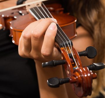 types violin strings types violin strings