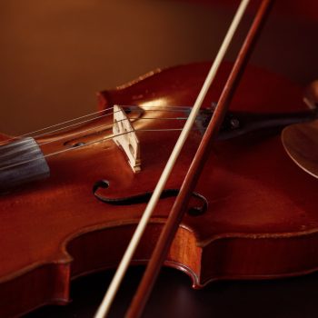 Tipologie archetti violino Tipologie archetti violino