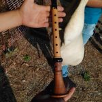 Variante ciaramella - pipita calabrese