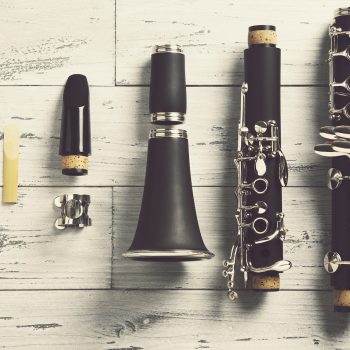 Parti del clarinetto Parti del clarinetto