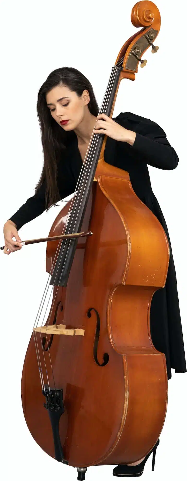 Double Bass Double Bass