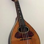 mandolino piccolo