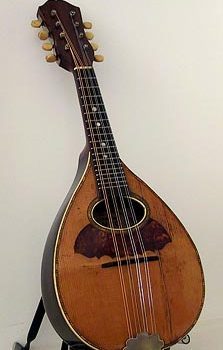 mandolino piccolo mandolino piccolo