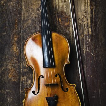 Viola - strumento musicale Viola - strumento musicale