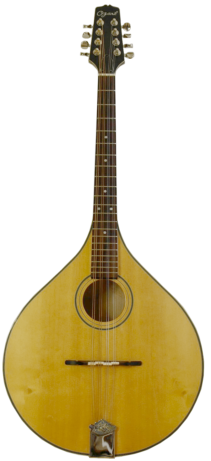 Mandoloncello storia, caratteristiche, suono e come si suona