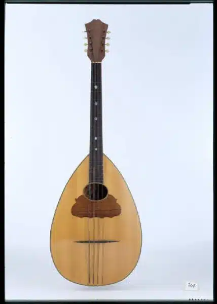 Mandolone - Musical instruments museum collection - Castello Sforzesco, Milan Mandolone - Musical instruments museum collection - Castello Sforzesco, Milan