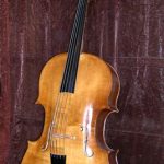 Violone Amit Tiefenbrunn - source Wikipedia