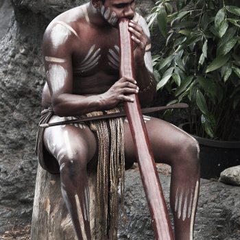 Strumenti musicali aborigeni - didgeridoo australiano Strumenti musicali aborigeni - didgeridoo australiano - foto di Steve Evans from Citizen of the World - Wikimedia Commons
