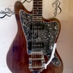 Jaguar Malo 2