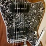 Jaguar Malo 3