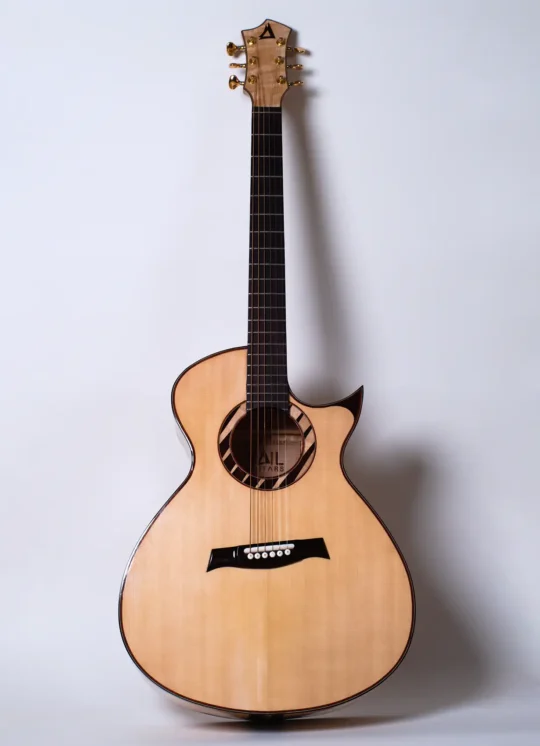 Chitarra acustica Brigantino Sail Guitars - 1