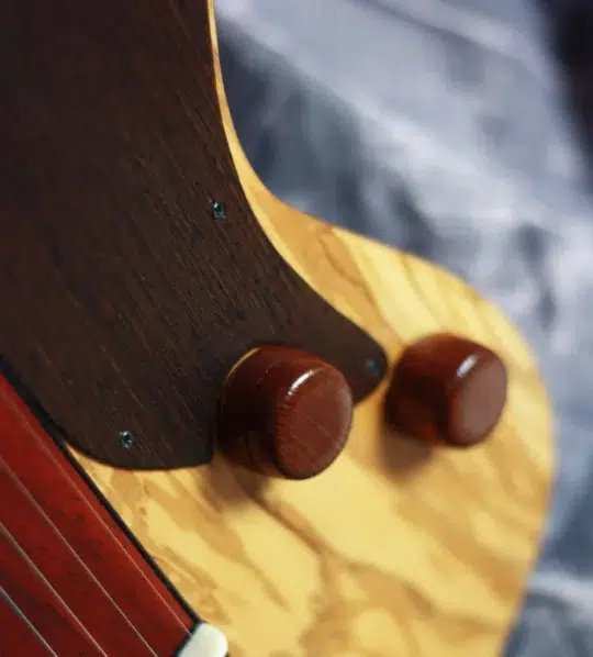 Collaborazioni ShiverGuitar