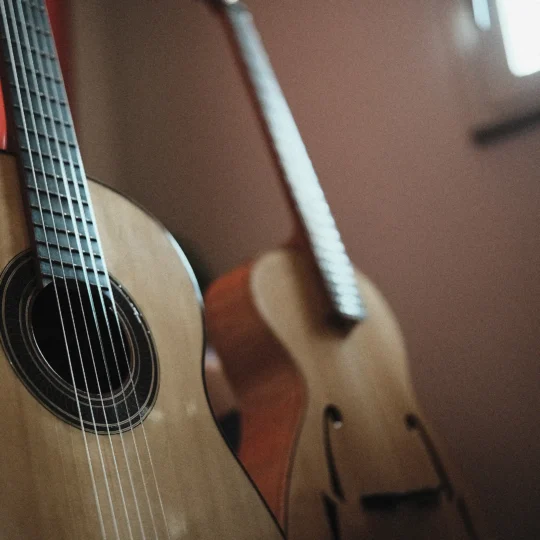 Collezione Sail Guitars