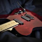 T-Ely Model Telecaster Artelab Guitars 9