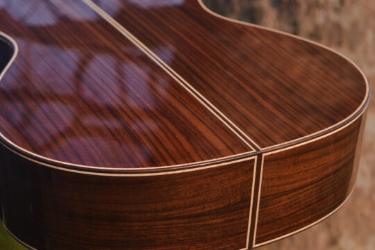 Filosofia Costruttiva - Raoul Aldrovandi Liuteria