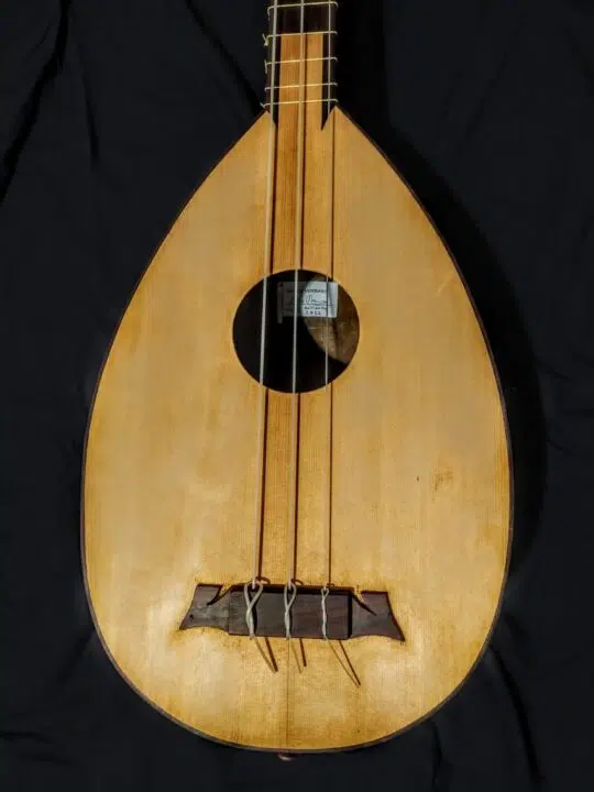 Colascione Mario Vorraro Liuto Basso 2