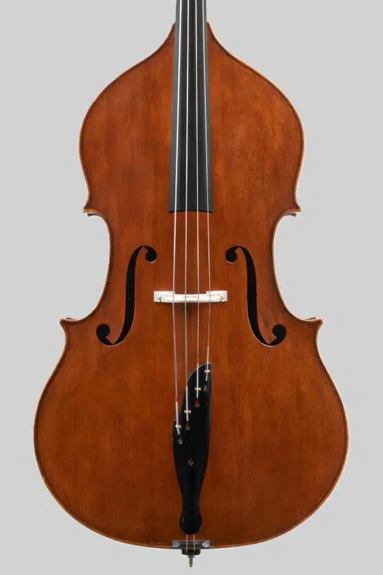 Contrabbasso Pasquale Sardone-Cb-01