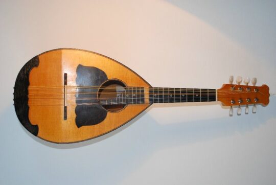 Mandolino Classico Vorraro-34367_101714006548402_4984682_n