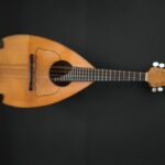 Mandolino Classico Vorraro-IMG_20191020_105938-1024x768