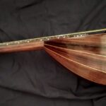 Mandolino Classico Vorraro-IMG_20220326_120128-1024x426