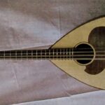 Mandoloncello Liuto Cantabile Vorraro-1-1024x444