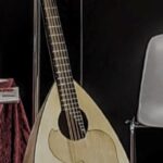 Mandoloncello Liuto Cantabile Vorraro-4