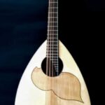 Mandoloncello Liuto Cantabile Vorraro-7-1024x476