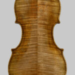 Violino modello Sainton Guarneri del Gesù Varazzani 1
