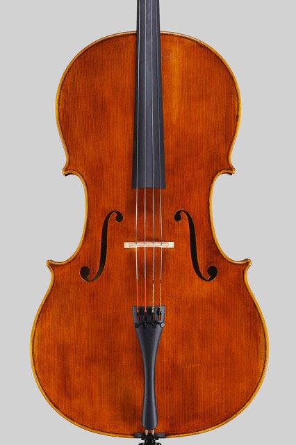 Violoncello Modello Ex Piatti A. Stradivari Pizzolato Davide-13194vco2