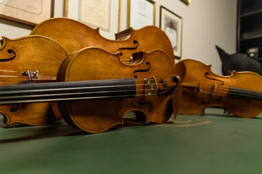 String Instrument Collection Daniele Tonarelli