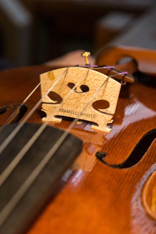 Filosofia e materiali Daniele Tonarelli