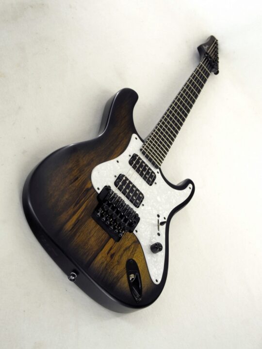 Chitarra Elettrica Raven Satin Manne 6