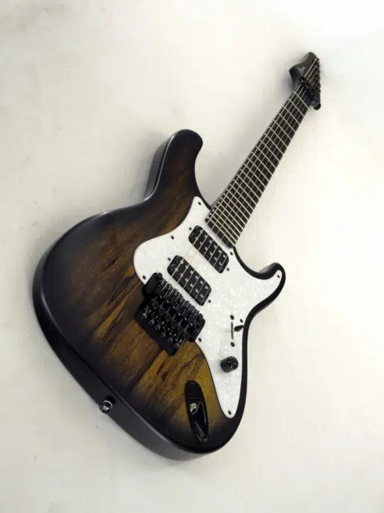 Chitarra Elettrica Raven Satin Manne 6