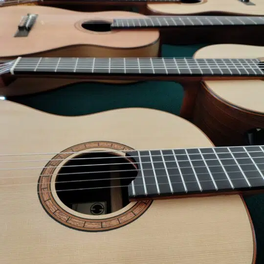 Giussani Guitars Details