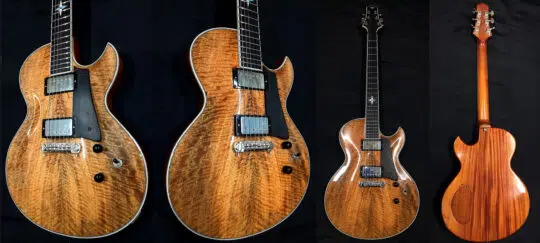 Sonicguitars LIuteria Salcuni Collection