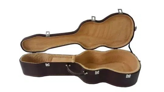 Romantic Guitar Case VS Cases 1