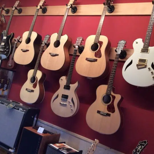 Gaudenzi Guitars Mauro Gaudenzi Collection