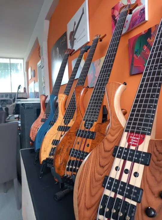 Laurus Basses Collection