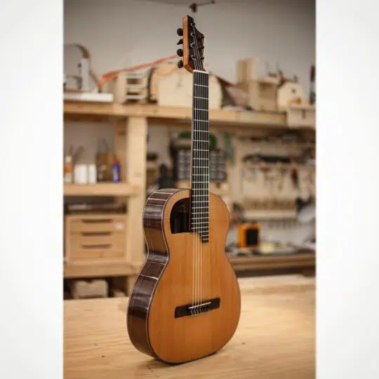 Montina Guitars Collaboration
