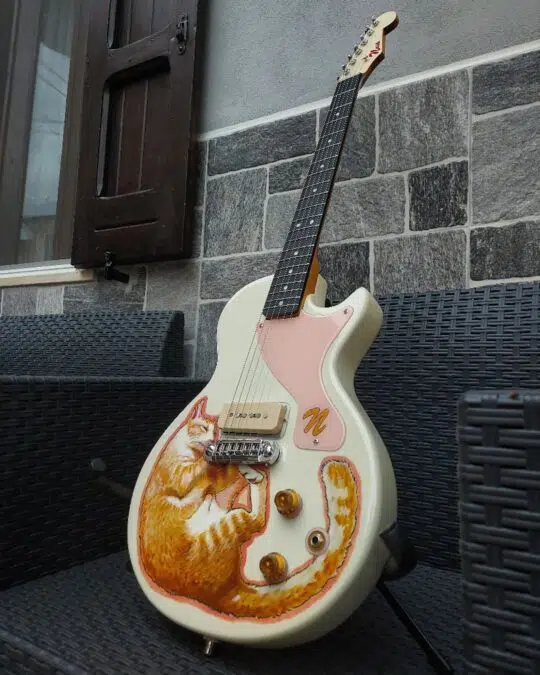 Naide Guitasrs Collection
