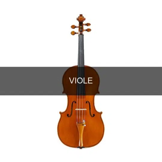 Viole