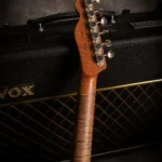 Electric Guitar Telecaster Thinline 2026 Sherwood Green Anna Corona 4